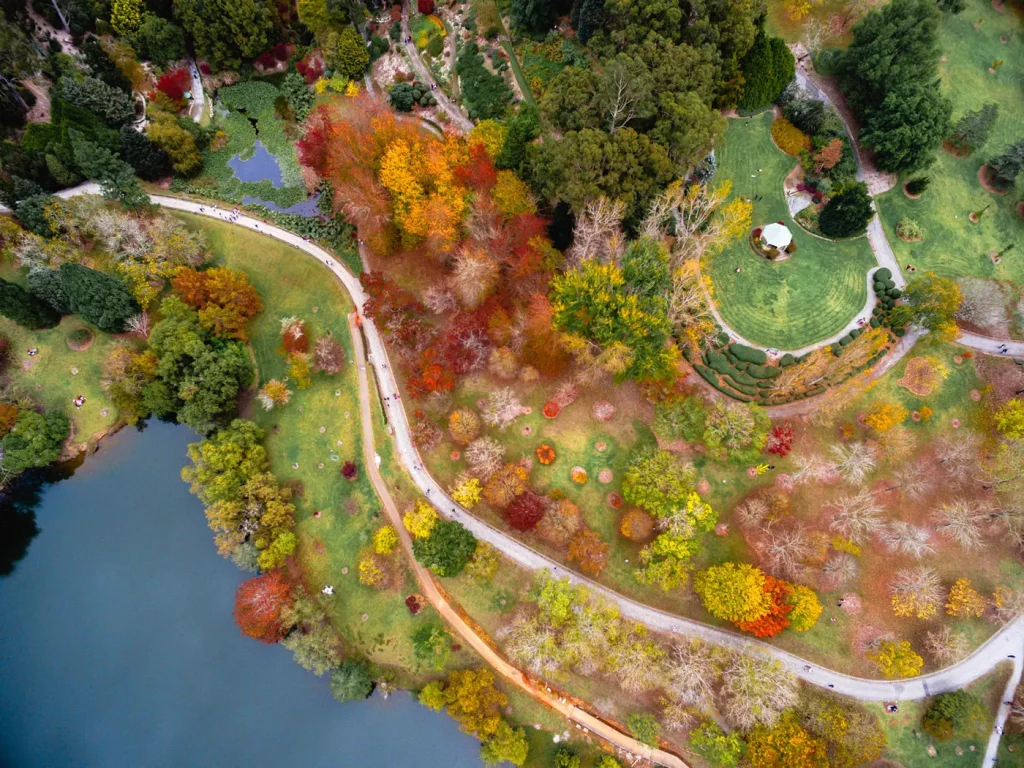 Aerial view of Mount Lofty Botanic Garden during autumn