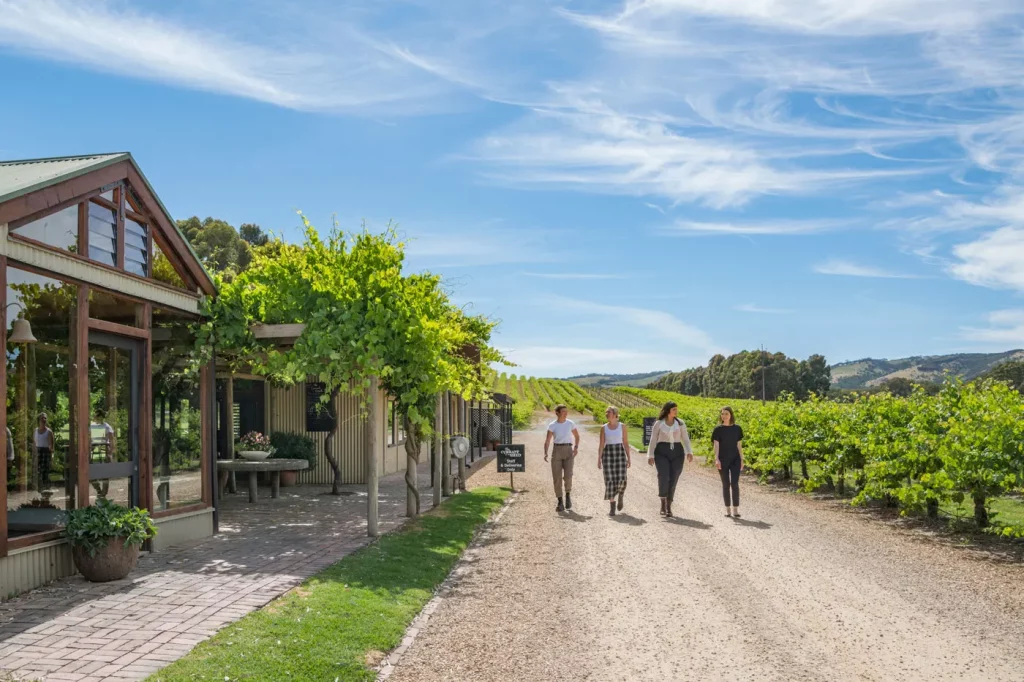 Guests walking up the driveway alongside Shottesbrooke Wines