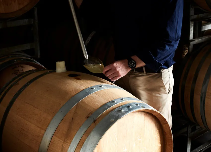 Chardonnay being sampled from the barrel
