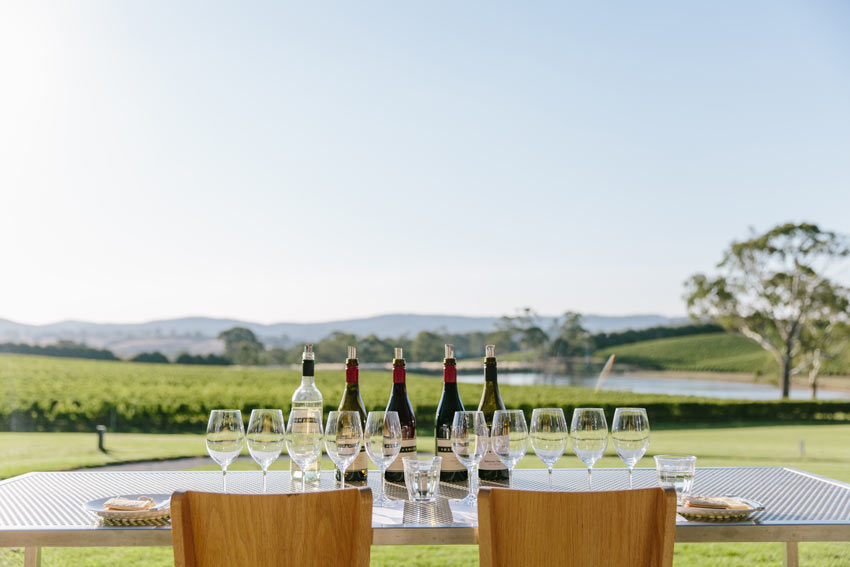 Wine flight for two overlooking the landscape of Shaw + Smith vineyards