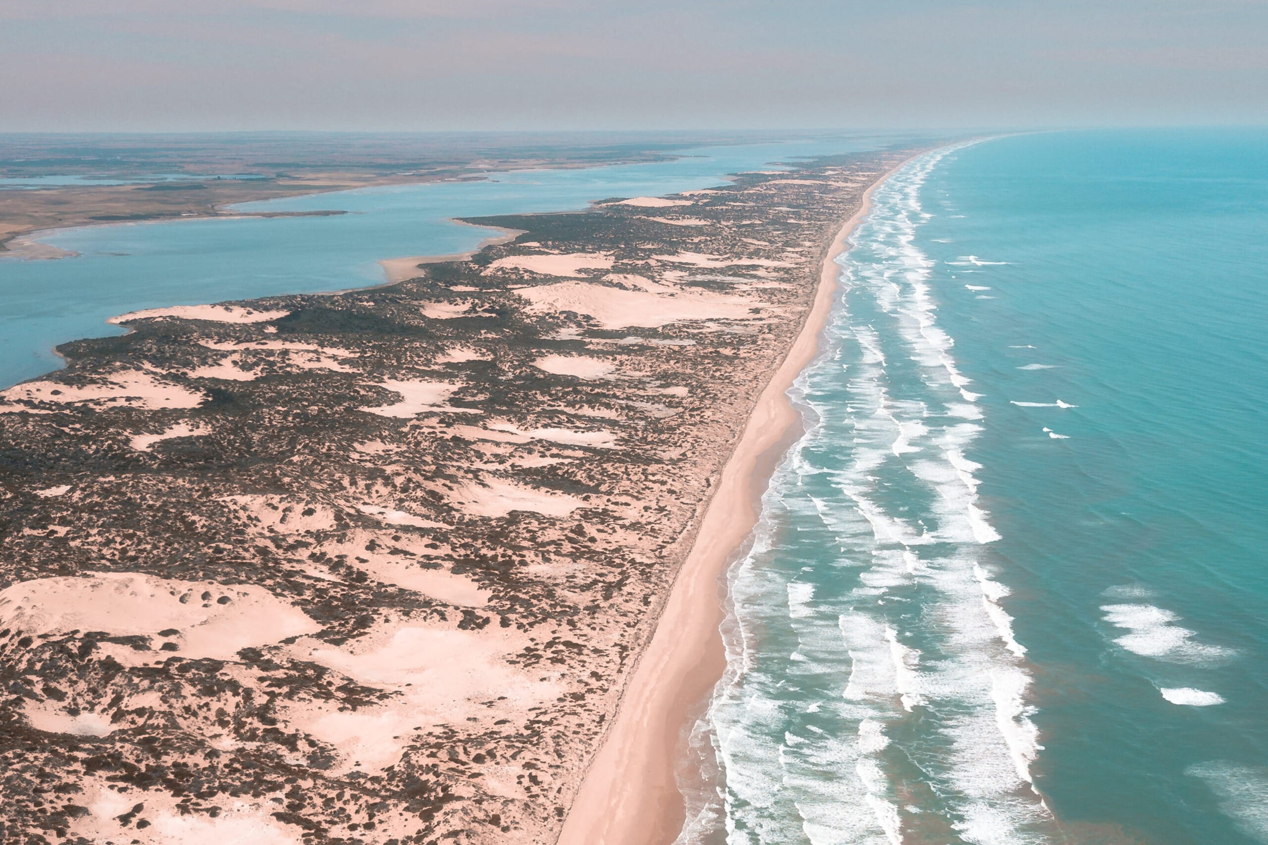 Wild Cultural Coorong Tour- The Tailor Touring (12)