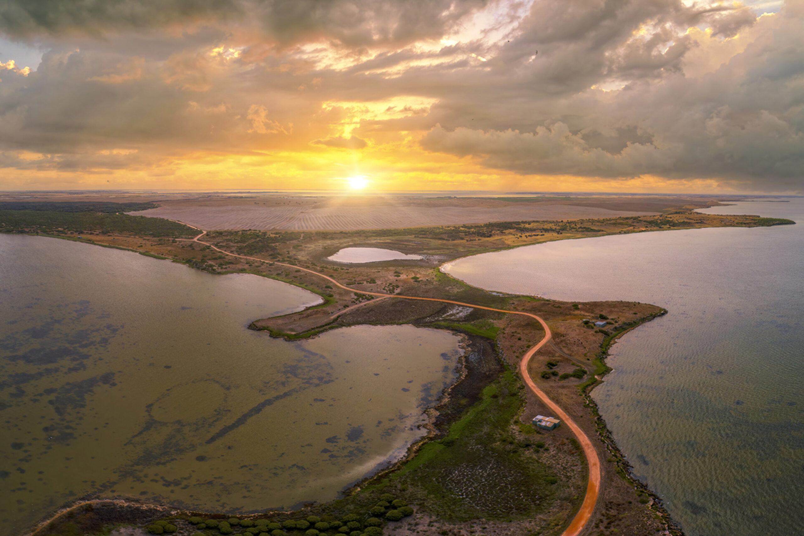 Wild Cultural Coorong Tour- The Tailor Touring (16)