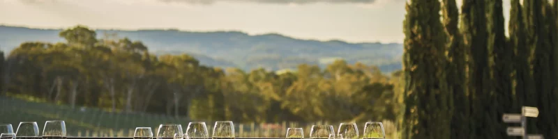 Three settings for winetasting overlooking Adelaide Hills scenery at The Lane