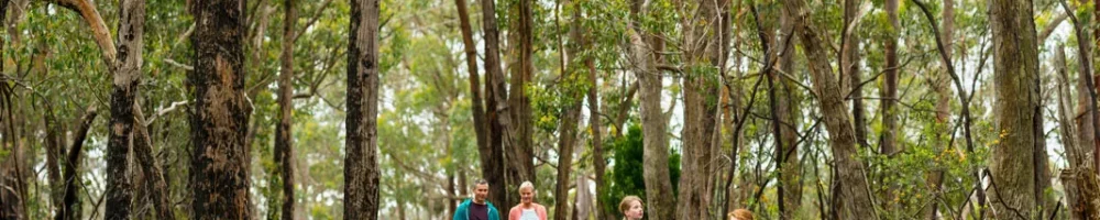 Family of four walking on a path through eucalypt forest in the Adelaide Hills