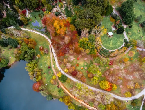 mount lofty botanic garden aerial autumn scenery Aerial view of Mount Lofty Botanic Garden during autumn